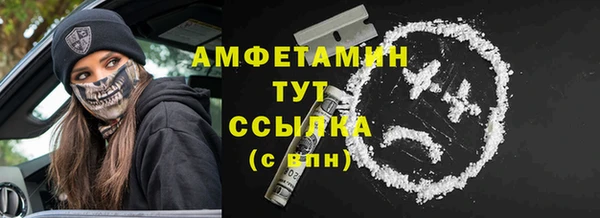 индика Краснослободск
