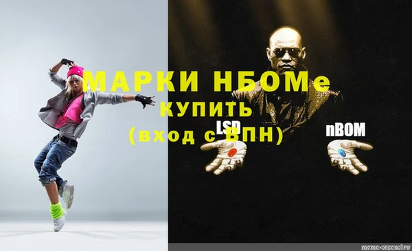 индика Краснослободск