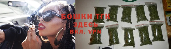 индика Краснослободск