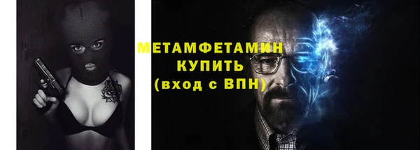 индика Краснослободск