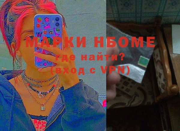 индика Краснослободск