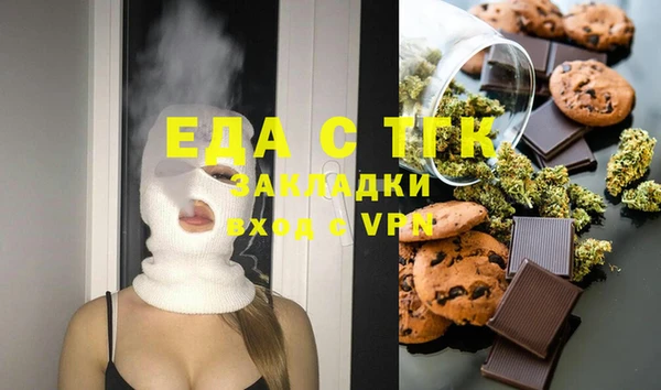 индика Краснослободск