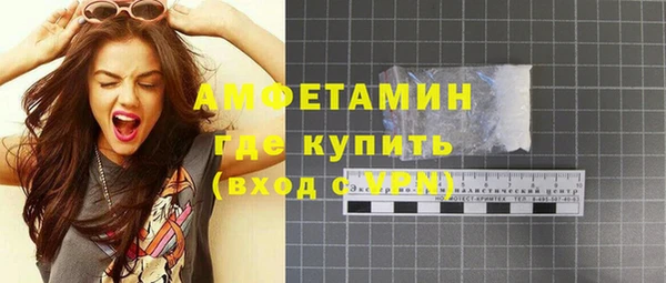 индика Краснослободск