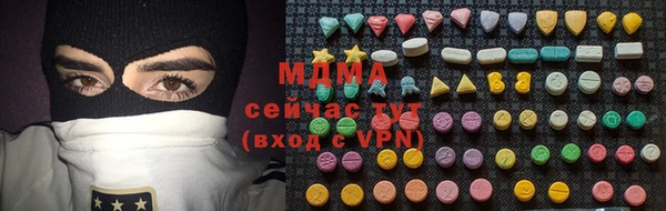 индика Краснослободск