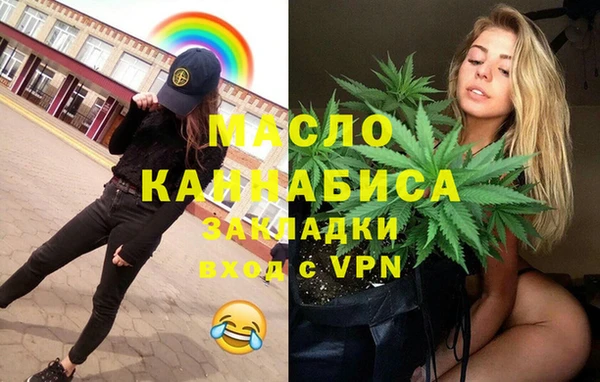 индика Краснослободск