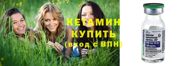 индика Краснослободск